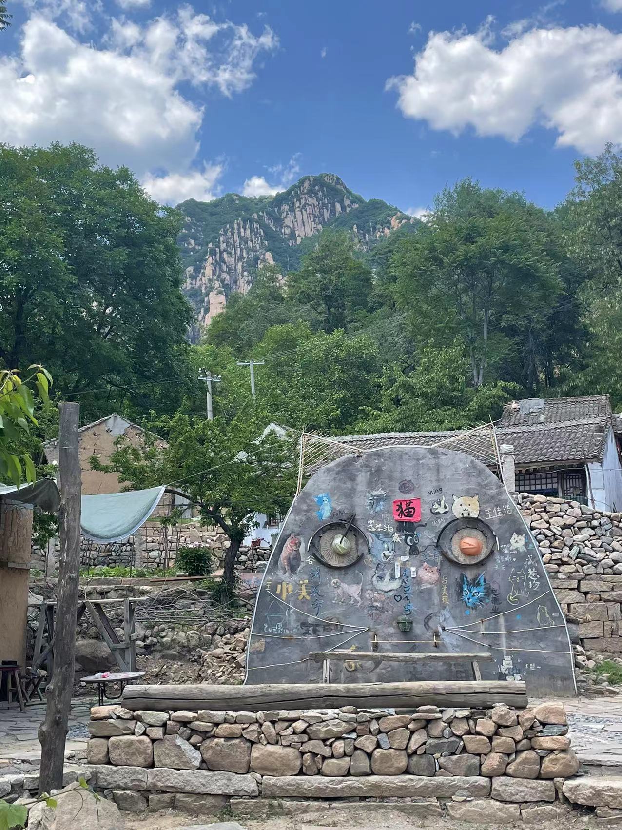 保定猫村志愿活动 2