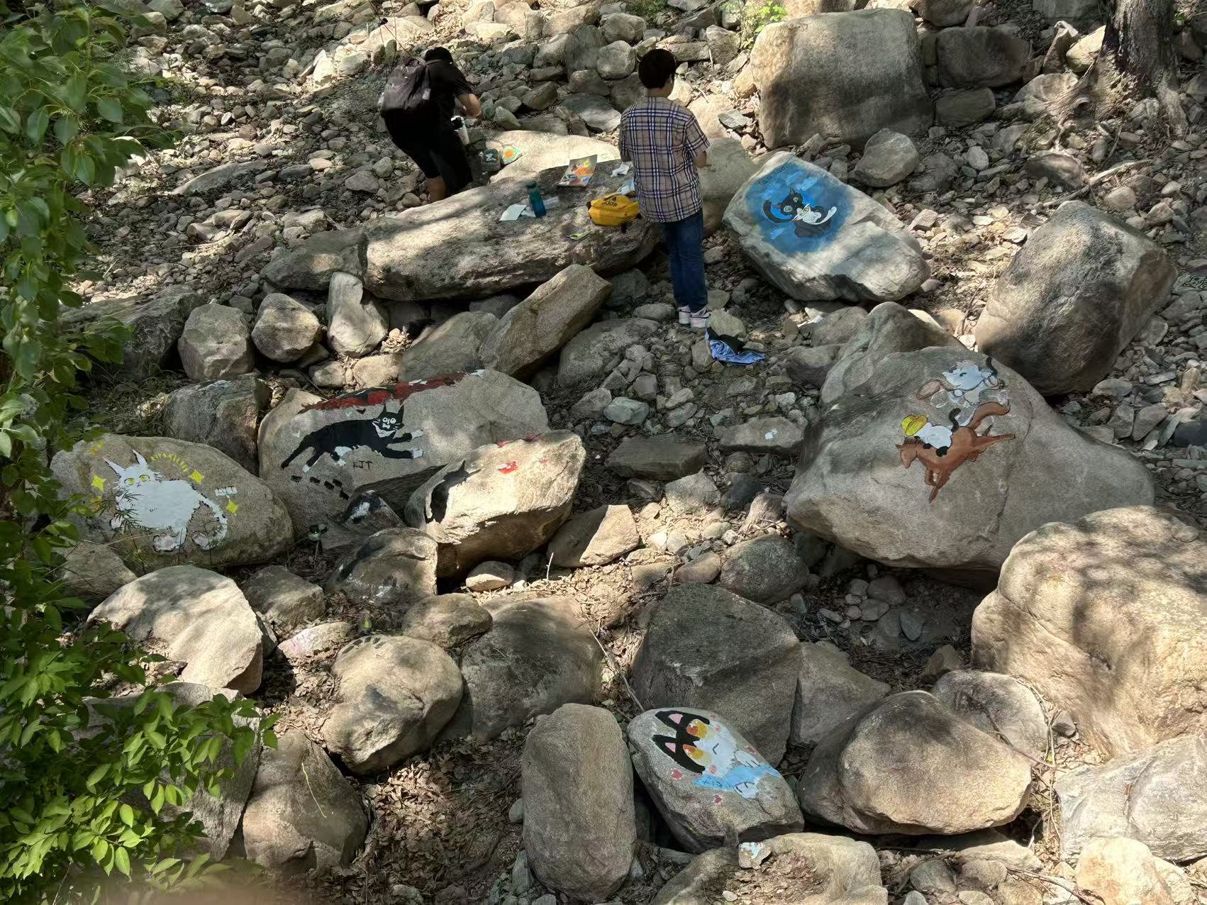 保定猫村志愿活动 4